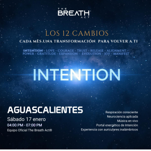 AGUASCALIENTES INTENTION ENERO